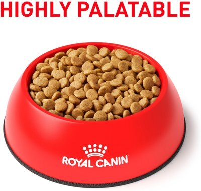 Royal Canin Veterinary Diet Gastrointestinal High Fiber Dry Dog Food