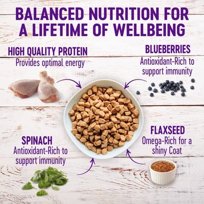 Wellness Complete Health Senior Deboned Chicken & Barley Recipe Dry Dog Food