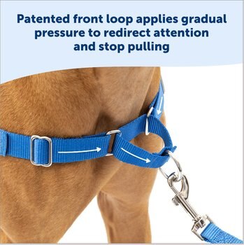 PetSafe Easy Walk Dog Harness