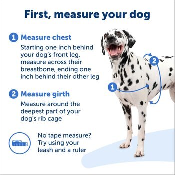 PetSafe Easy Walk Dog Harness