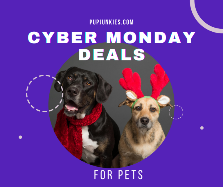 Cyber Monday Deals On Pet Products Happening Now